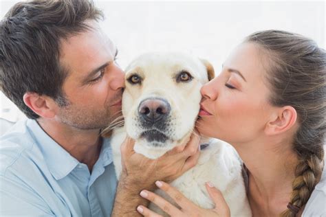 dog lovers dating site